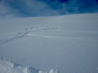 Rochers de Naye 4 Feb